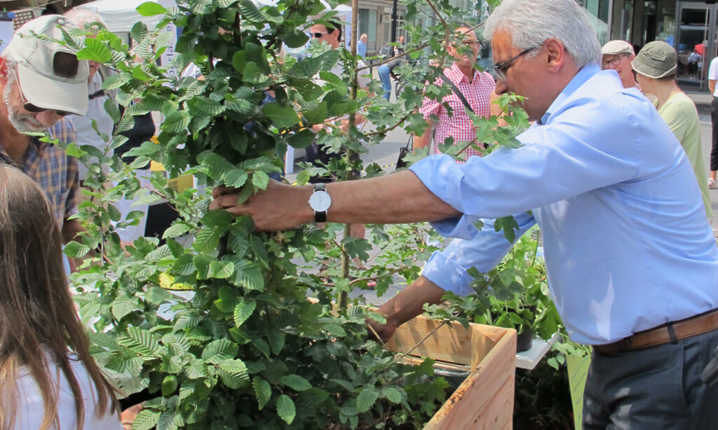 OB-Czich-ist-mit-pervormance-aktiv